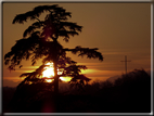 foto Tramonto a Bassano del Grappa